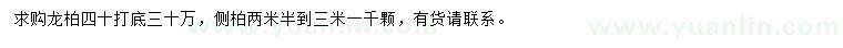 求購龍柏、側(cè)柏
