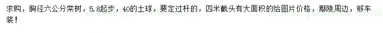求購胸徑6公分欒樹