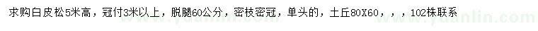 求購高5米白皮松