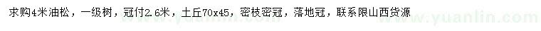 求購4米油松