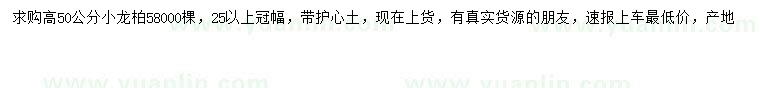 求購高50公分小龍柏