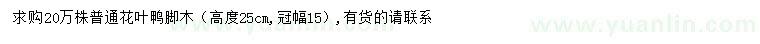 求購(gòu)高25公分花葉鴨腳木