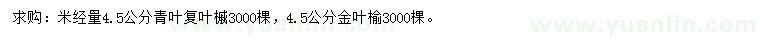 求購米徑4.5公分青葉復(fù)葉槭、金葉榆