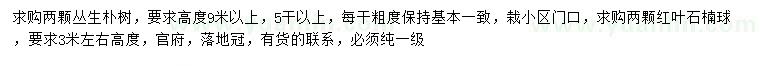 求購(gòu)高9米以上叢生樸樹(shù)、3米紅葉石楠球