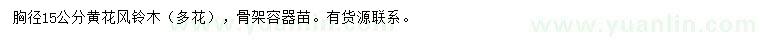 求購(gòu)胸徑15公分黃花風(fēng)鈴木
