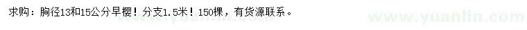 求購胸徑13、15公分早櫻