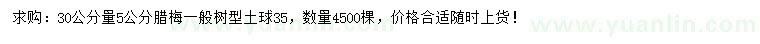 求購30公分量5公分臘梅