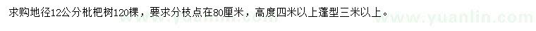 求購地徑12公分枇杷樹