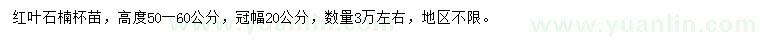 求購高50-60公分紅葉石楠