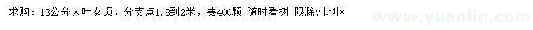 求購13公分大葉女貞