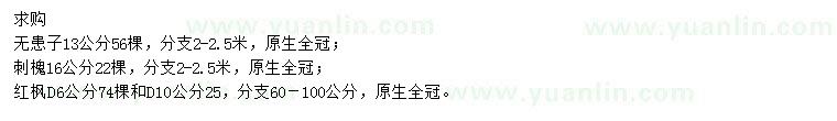 求購(gòu)無(wú)患子、刺槐、紅楓