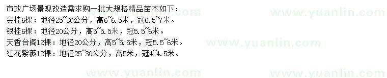 求購(gòu)金桂、銀桂、天香臺(tái)閣等