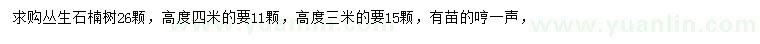 求購高3、4米叢生石楠