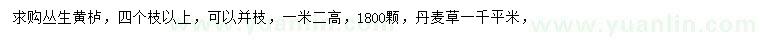 求購高1.2米叢生黃櫨、丹麥草