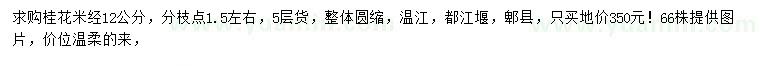 求購米徑12公分桂花