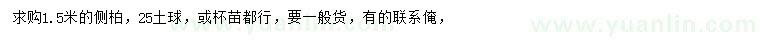 求購1.5米側(cè)柏