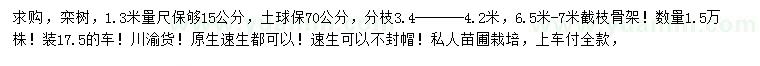 求購1.3米量15公分欒樹