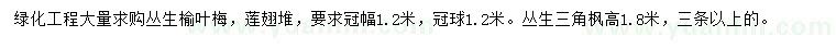 求購叢生榆葉梅、連翹、叢生三角楓