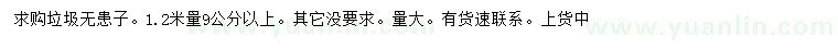 求購1.2米量9公分以上無患子