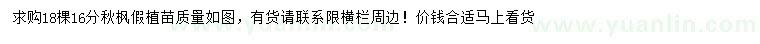 求購16分秋楓
