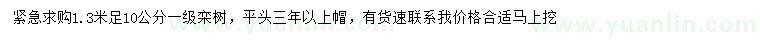 求購(gòu)1.3米量10公分欒樹