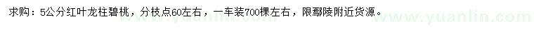 求購5公分紅葉龍柱碧桃
