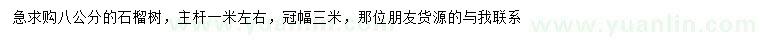 求購8公分石榴樹