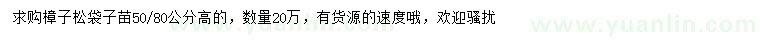 求購(gòu)高50、80公分樟子松