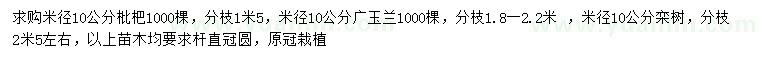 求購(gòu)枇杷、廣玉蘭、欒樹