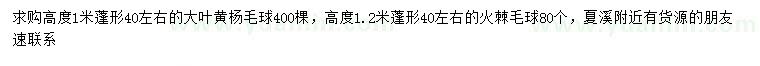 求購(gòu)冠幅40公分左右大葉黃楊球、火棘球