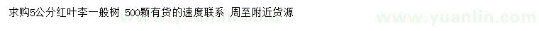 求購5公分紅葉李