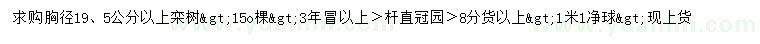求購(gòu)胸徑19.5公分以上欒樹