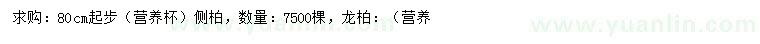 求購(gòu)80公分側(cè)柏、龍柏