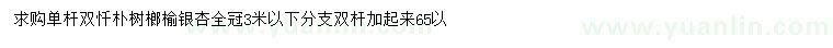 求購樸樹、榔榆、銀杏