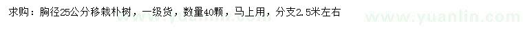 求購胸徑25公分樸樹
