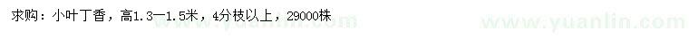 求購高1.3一1.5米小葉丁香