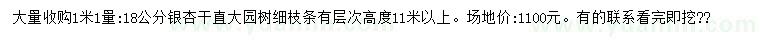 求購1.1米量18公分銀杏