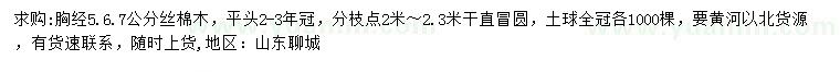 求購胸徑5、6、7公分絲棉木