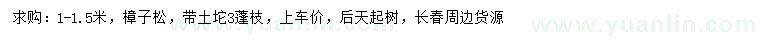 求購1-1.5米樟子松