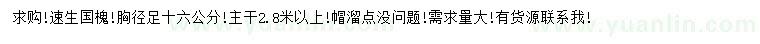 求購胸徑16公分速生國槐