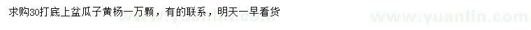 求購30公分以上瓜子黃楊