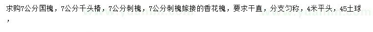 求購國槐、千頭椿、刺槐等