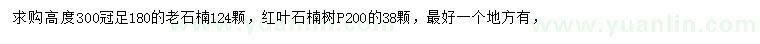 求購高300公分老石楠、冠幅200公分紅葉石楠