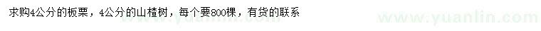 求購(gòu)4公分板栗、山楂樹