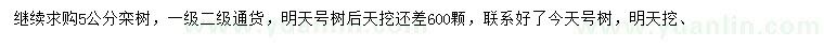 求購5公分欒樹