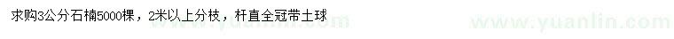 求購3公分石楠