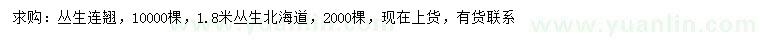 求購叢生連翹、叢生北海道