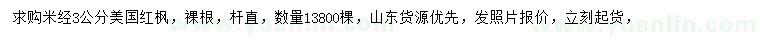 求購米徑3公分美國紅楓