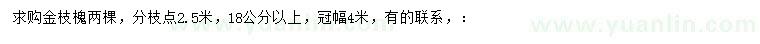 求購(gòu)18公分以上金枝槐