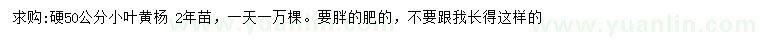 求購50公分小葉黃楊